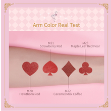 Cargar imagen en el visor de la galería, ZEESEA Alice Velvet Matte Lip Glaze Long Lasting Moisturizer 4 Stick Gift Box
